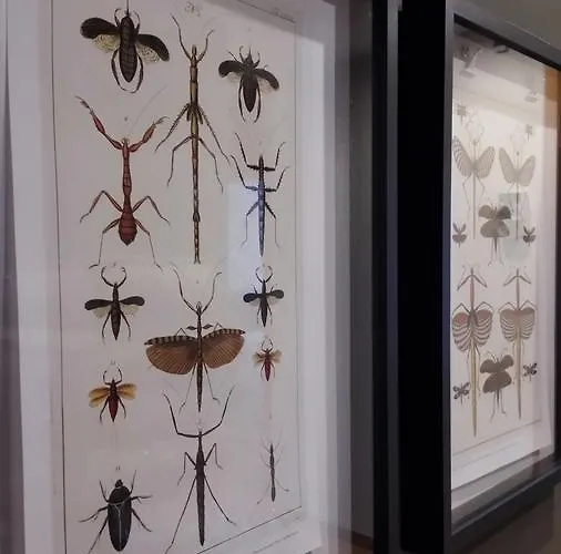 Garden Boutique Отель типа 